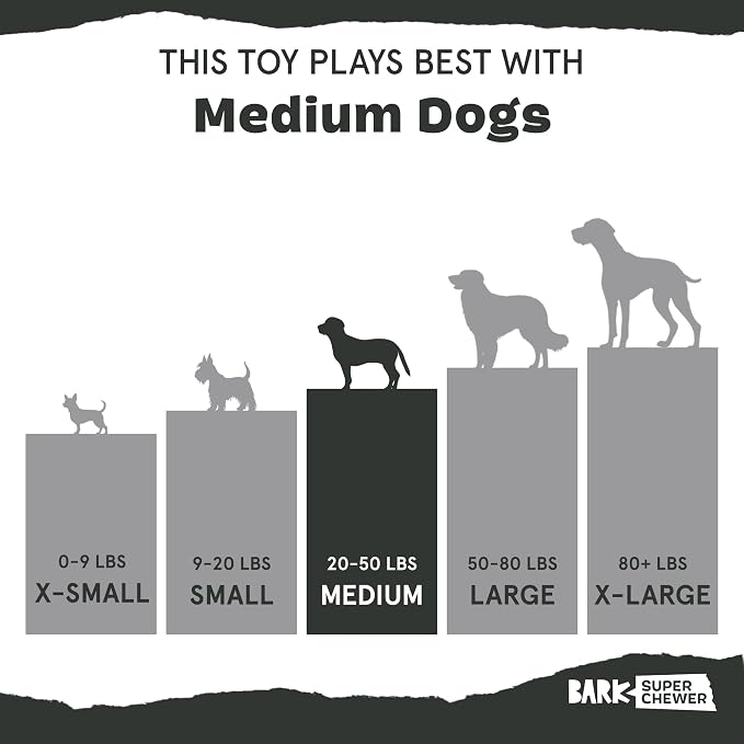 Barkbox Pumpkin Prodigy Dog Toy | Treat-Dispensing Rubber Dog Toy - Image 5