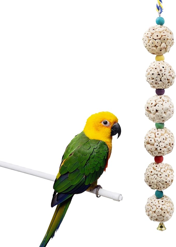 Bird Chewing Toy, Bird Sola Ball Toy by Jinkoozz