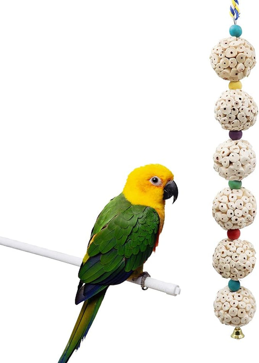 Bird Chewing Toy, Bird Sola Ball Toy by Jinkoozz