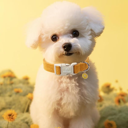 Cute Corduroy Dog Collar - Image 2