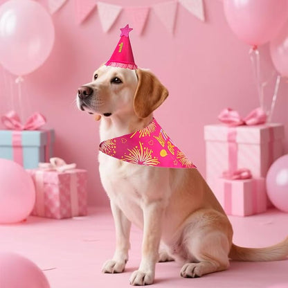 Dog Birthday Party Supplies, Rose Pink Dog Birthday Set - Image 8