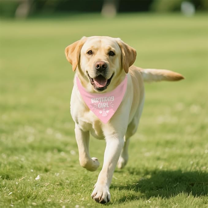 Birthday Girl Funny Dog Bandana, Happy Birthday Girl Dog Bandana, Pet Scarf - Image 5