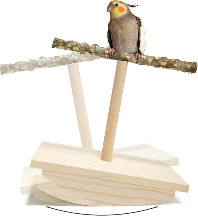 Natural Wood Bird Perch Stand, Rocking Perch by HOME