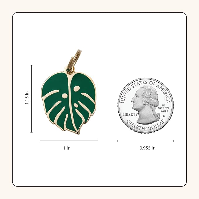 Two Tails Pet Company Personalized 'Monstera Leaf' Pet ID Tag & Collar Charm - Image 5