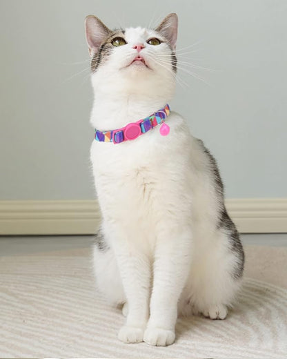 SOLMOONY Cute Cat Collar for Girl Boy, Colorful Breakaway Cat Collars - Image 2