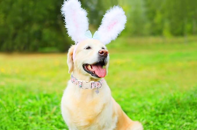 DOGWONG Easter Rabbit Dog Collar, Colorful Egg Dog Collar Soft Durable - Image 4