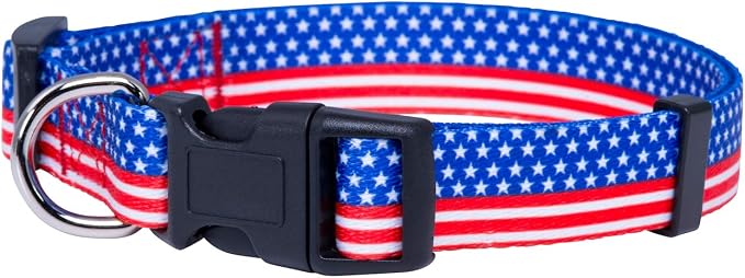 Native Pup American Flag Dog Collar- Red White and Blue- Patriotic Collars by NativePup