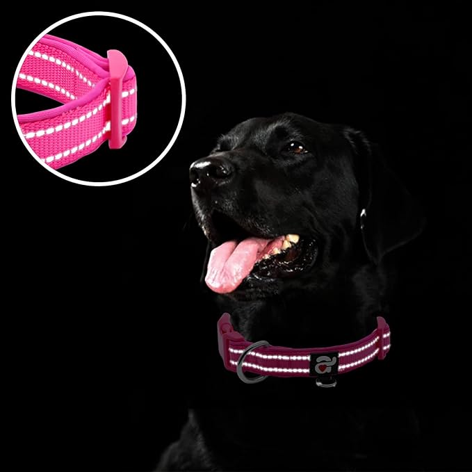 azuza Reflective Dog Collar, Soft Neoprene Padded Pet Collar - Image 4
