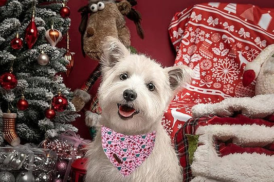 Lionet Paws Cotton Christmas Dog Bandanas Pink, Gloves Tree Comfortable Dog - Image 2