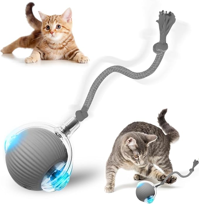 Interactive Cat Toy, 2025 New Interactive Rolling CatsToy Balls 360° Smart by Taikcsut