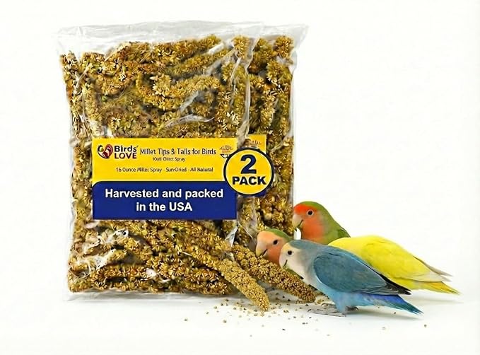 1lb Millet Tips & Tails for Birds - Image 2