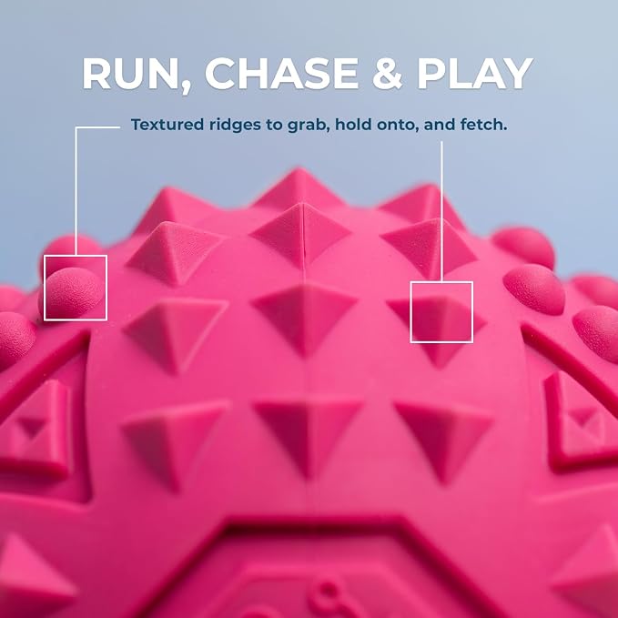Best Pet Supplies Squeaky Dog Toys - Image 3