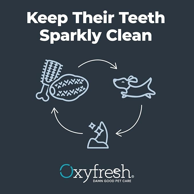 Oxyfresh Dog Dental Chew Toy - Image 8