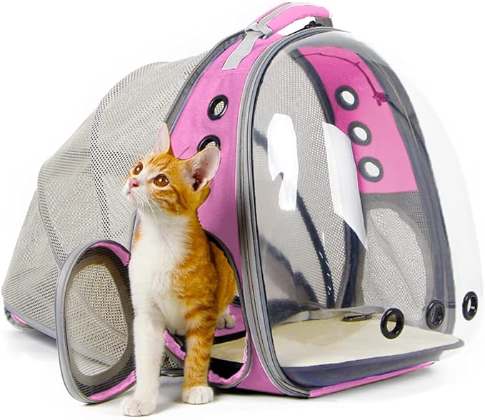 Expandable Pink Cat Backpack Carrier, Fit up to 12 lbs, Space Capsule Clear by halinfer