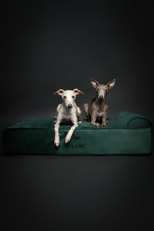 NOAH & PAW Large Dog Bed, Orthopedic Dog Beds, Eggshell Memory Foam Infused - Image 8