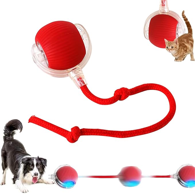2025 New Interactive Dog Cat Toys Balls, Interactive Rolling Ball Cat Toy by Unknown