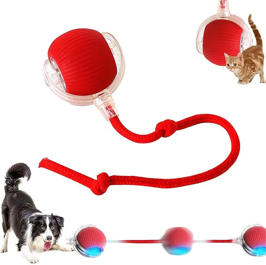 2025 New Interactive Dog Cat Toys Balls, Interactive Rolling Ball Cat Toy by Unknown