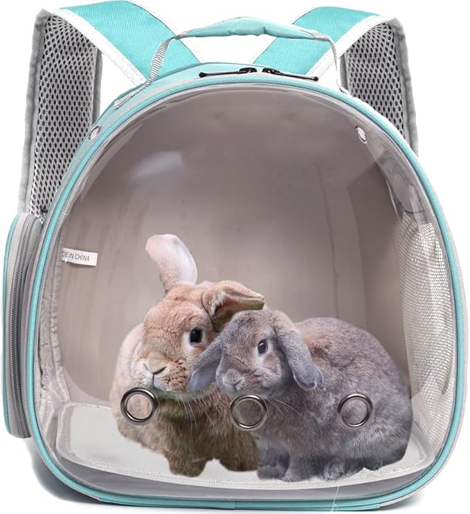 Guinea Pig Backpack Carrier, Bearded Dragon Carrier Backpack - Image 3