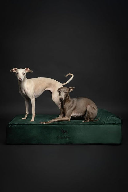 NOAH & PAW Large Dog Bed, Orthopedic Dog Beds, Eggshell Memory Foam Infused - Image 9