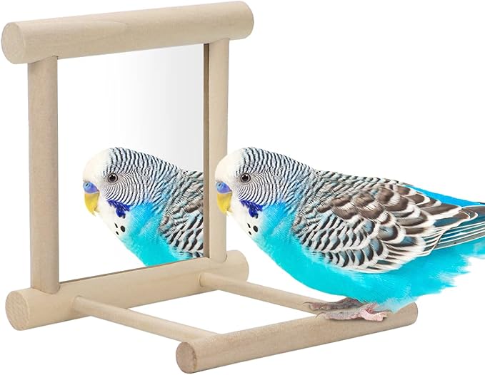 Bird Mirror with Perch Bird Toys by Wontee