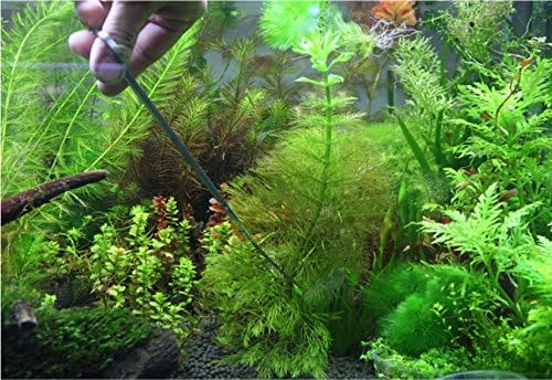Co-link 3 in 1 Stainless Steel Aquarium Tank Aquatic Plant Tweezers Scissors - Image 5
