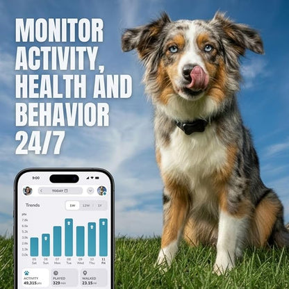 FitBark 2 Dog Activity Monitor | Health & Fitness Tracker - Image 3