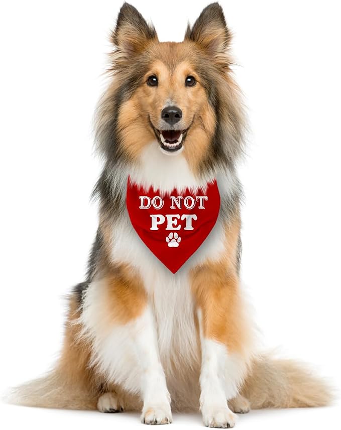 Do Not Pet Dog Bandana - Image 3