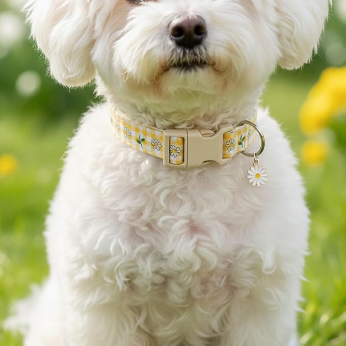 Cute Dog Collar, Spring Summer Design Floral Collar - Image 4