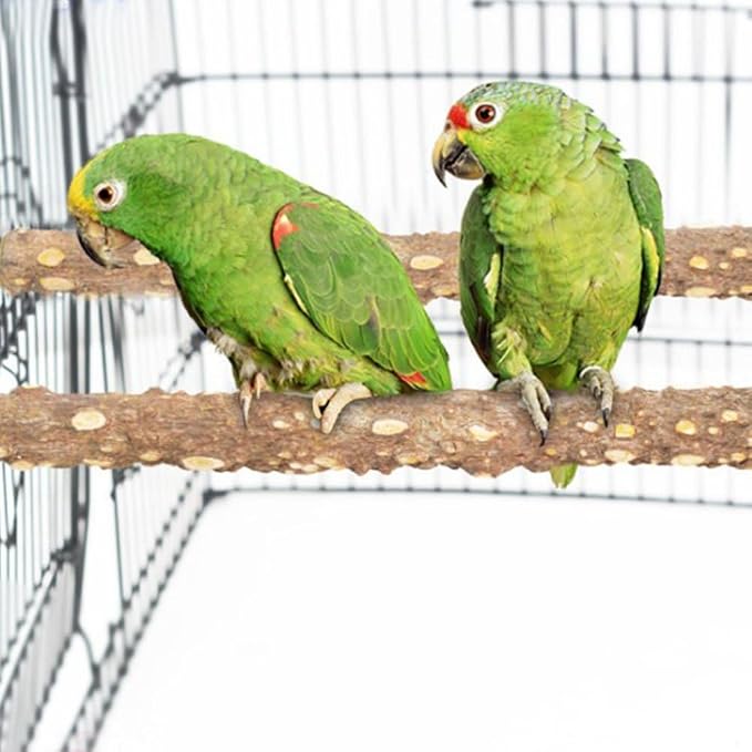 PINVNBY 3Pcs Bird Perches for Cage, Nature Wood Prickly Parrot Stand Toy Paw - Image 4