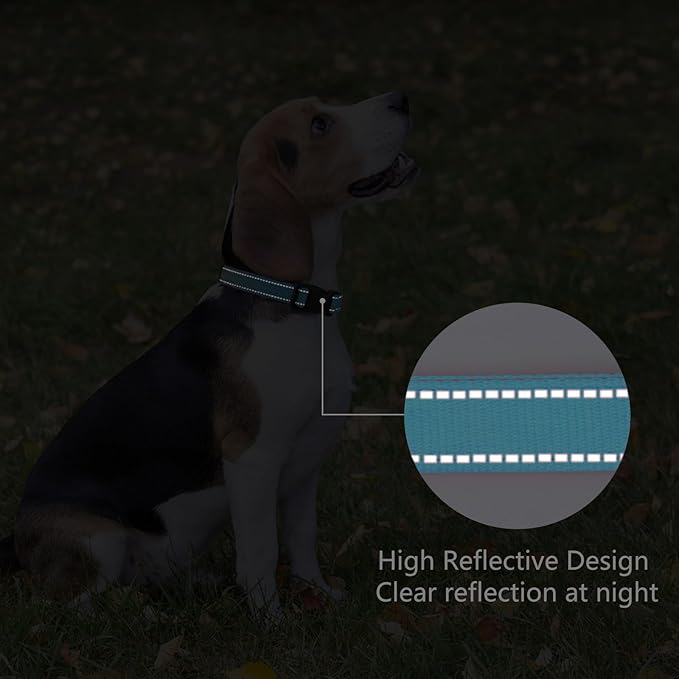 Reflective Dog Collar Padded - Image 5