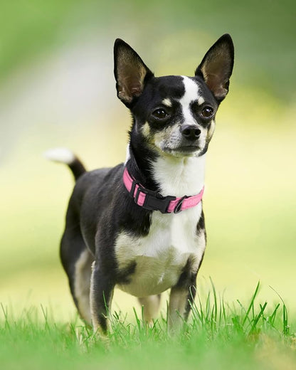Joytale Reflective Dog Collar, Soft Neoprene Padded, Metal D-Ring, Nylon Pet - Image 2