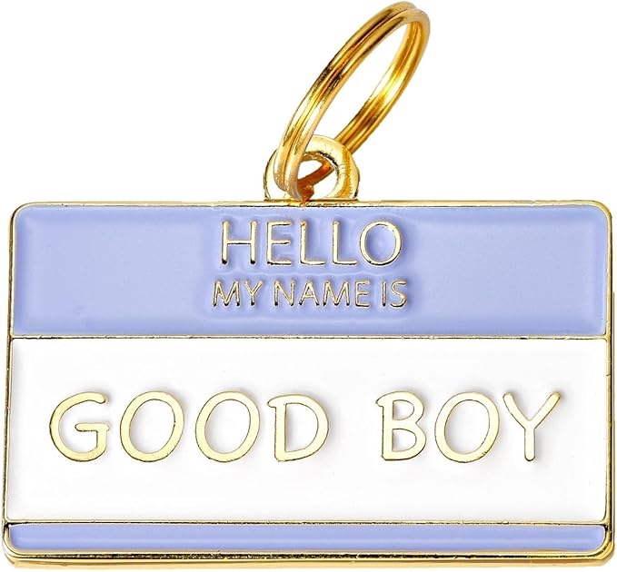 Two Tails Pet Company Personalized 'Good Boy' Pet ID Tag & Collar Charm by TwoTailsPetCompany