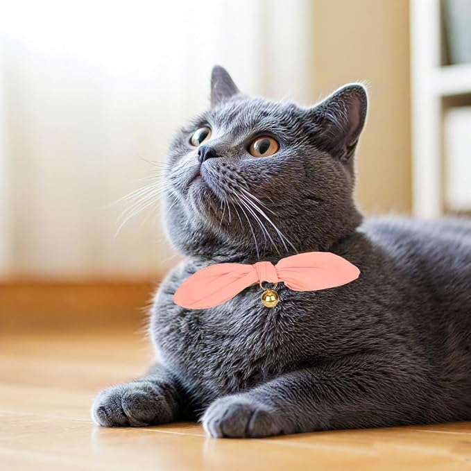 Bunny Ear Cat Collar with Bell and Bow Tie, Breakaway Cute Bowtie Kitten Collars - Image 7