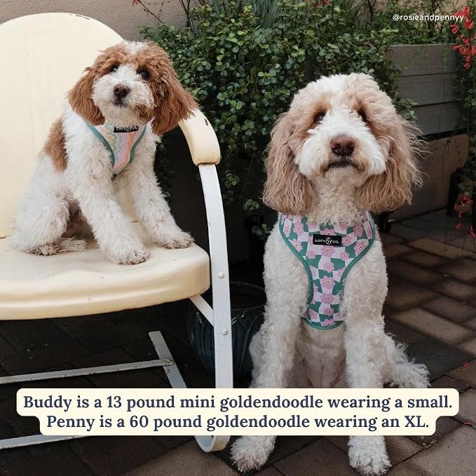Lucy & Co. Cute Reversible Dog Harness Walking Halter - Image 2