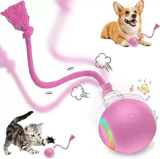 FUNNYDUCK Speed 2.0 Tail Interactive Cat Toy – Motion-Activated Rolling Ball by Unknown