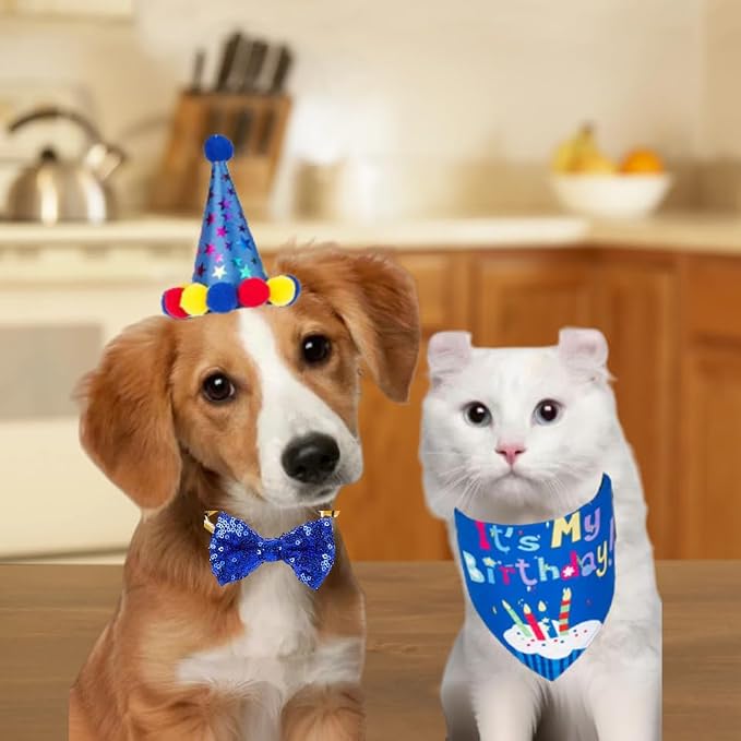 Pet Birthday Party Set, Dogs Bandana and Dog Birthday Hat - Image 7