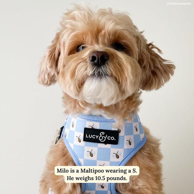 Lucy & Co. Bumbling Around Reversible Dog Harness, Adjustable Comfort Fit - Image 4