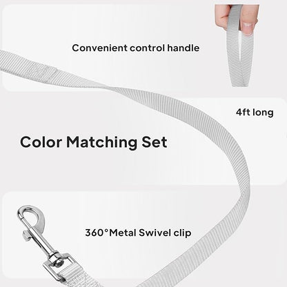 PetiFine Step in Small Dog Harness and Leash Set, Breathable All Weather Air - Image 6