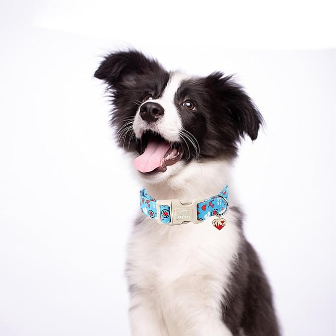 Valentines Dog Collar, Cute Loving Heart Printed Collar - Image 5
