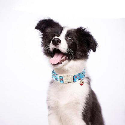 Valentines Dog Collar, Cute Loving Heart Printed Collar - Image 5