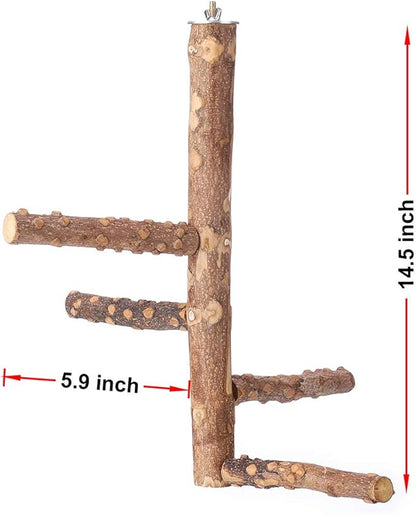 Bird Perch Nature Wood Stand for 3-4pcs Small Medium Parrots - Image 2