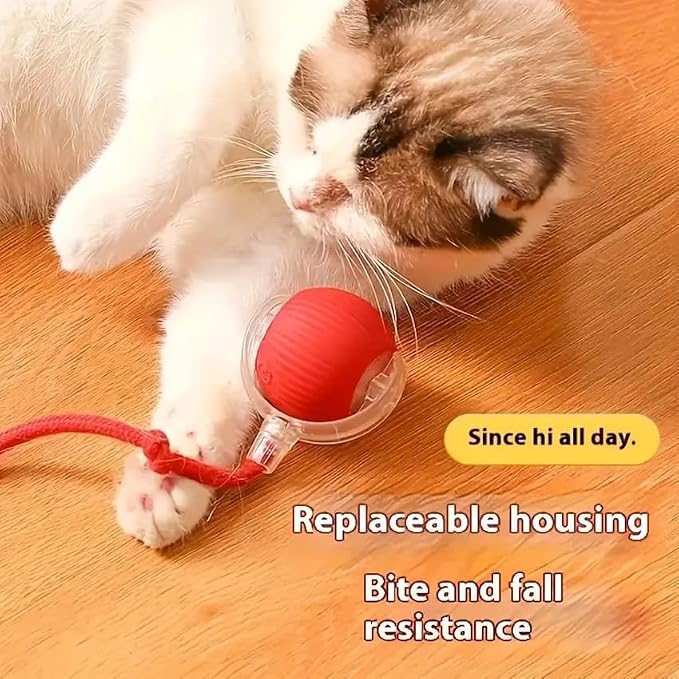 Cat Toy Ball with Tail Rope, Smart Rolling Ball, LED Light, Electric - Image 6