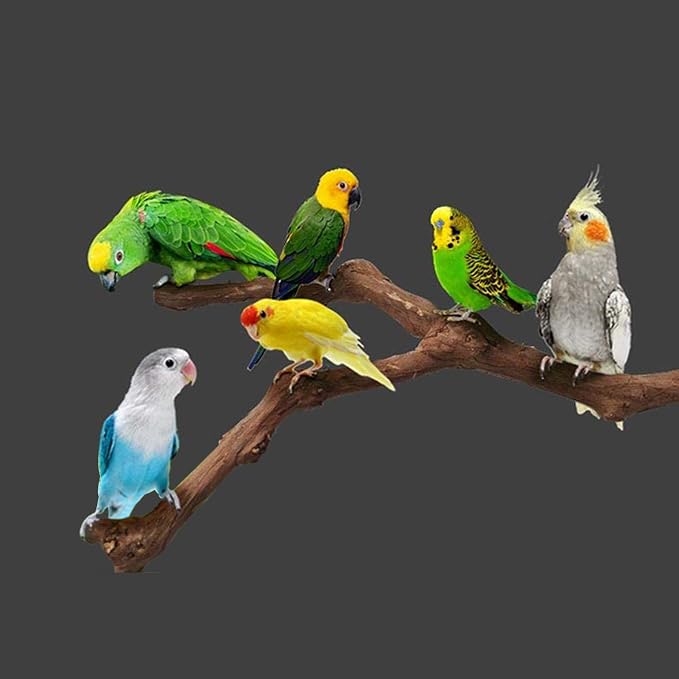 Allazone 5 PCS Natural Grape Stick Perch Swing Chewing Toys - Image 4