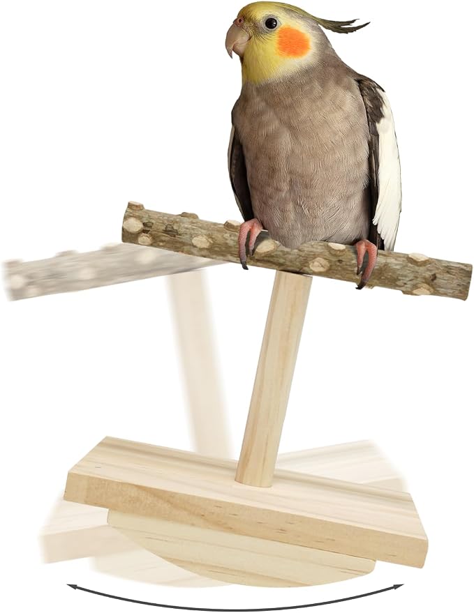 Natural Wood Bird Perch Stand, Rocking Perch by HOME