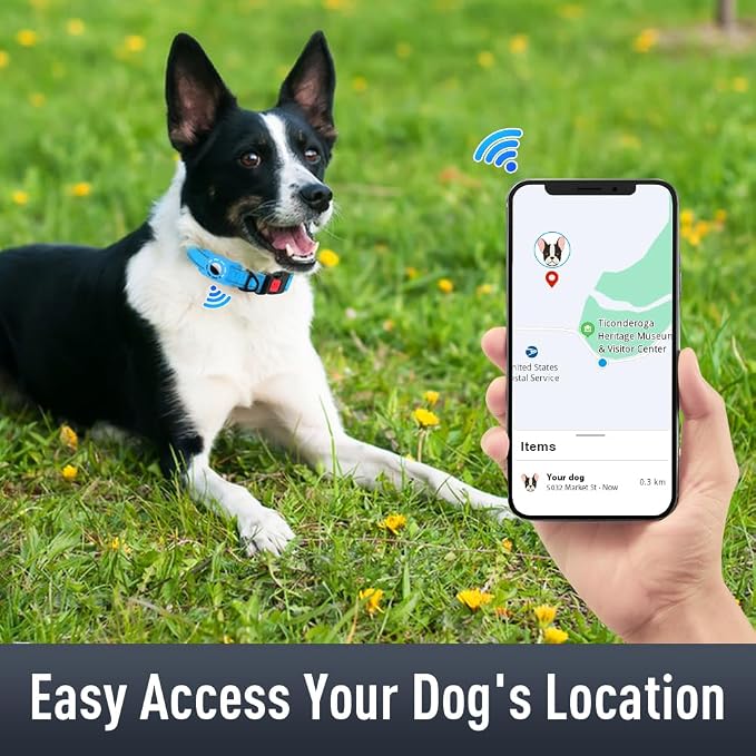 Airtag Dog Collar with AirTag Holder - Image 2