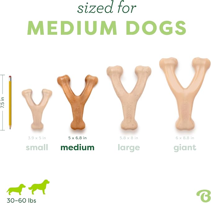 Benebone Wishbone Durable Dog Chew Toy - Image 4