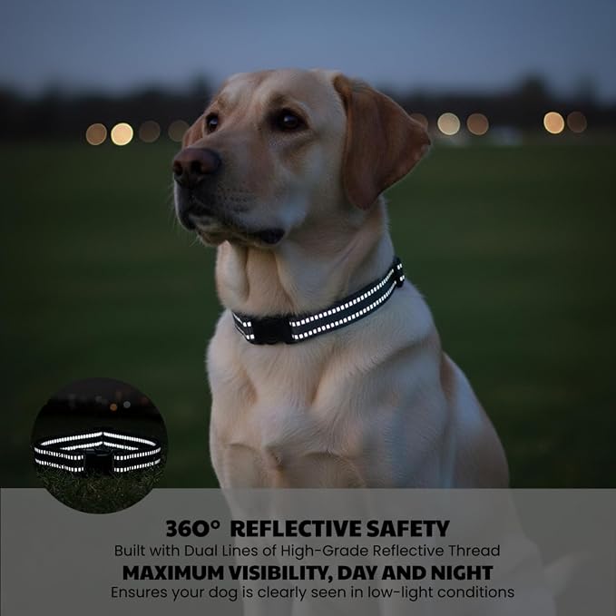 Dog Training Collar Replacement and Shock Collar Strap - Image 4