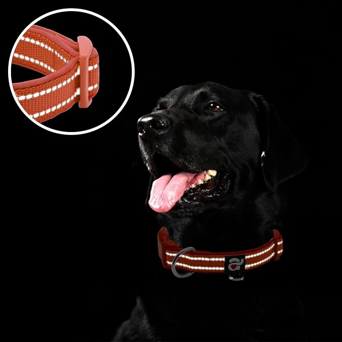 azuza Reflective Dog Collar, Soft Neoprene Padded Pet Collar - Image 4