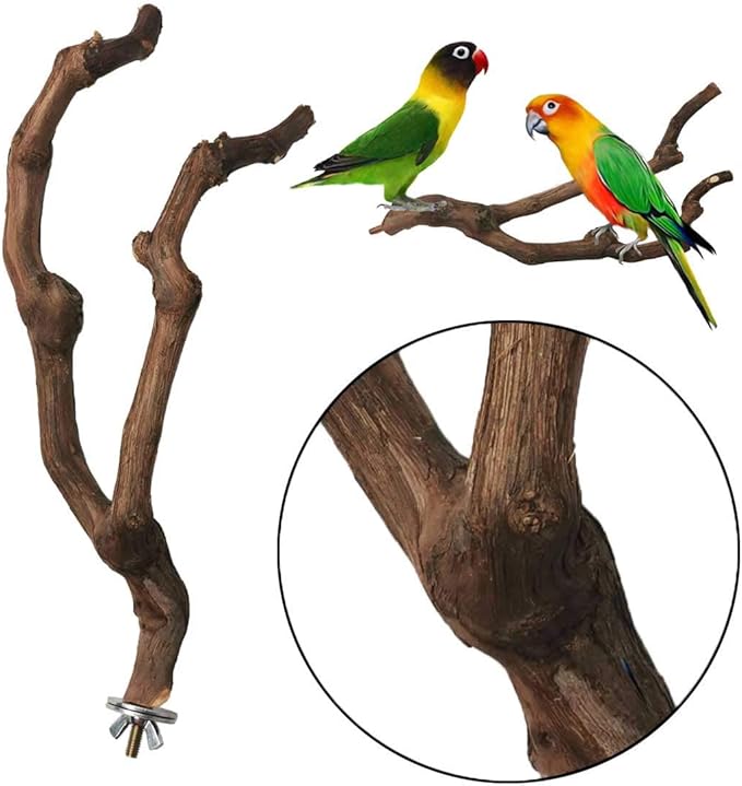 kathson Natural Parrot Perch Bird Stand Pole Wild Grape Stick Paw Grinding Fork - Image 5