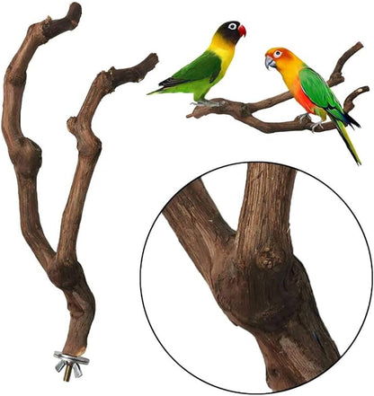 kathson Natural Parrot Perch Bird Stand Pole Wild Grape Stick Paw Grinding Fork - Image 5